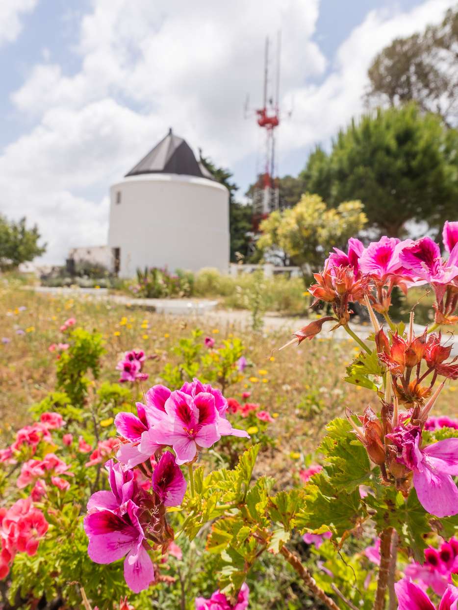De molens van Vejer de la Frontera