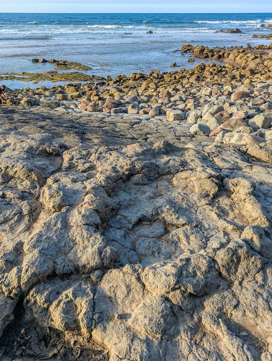 Dino afdrukken Playa de la Griega