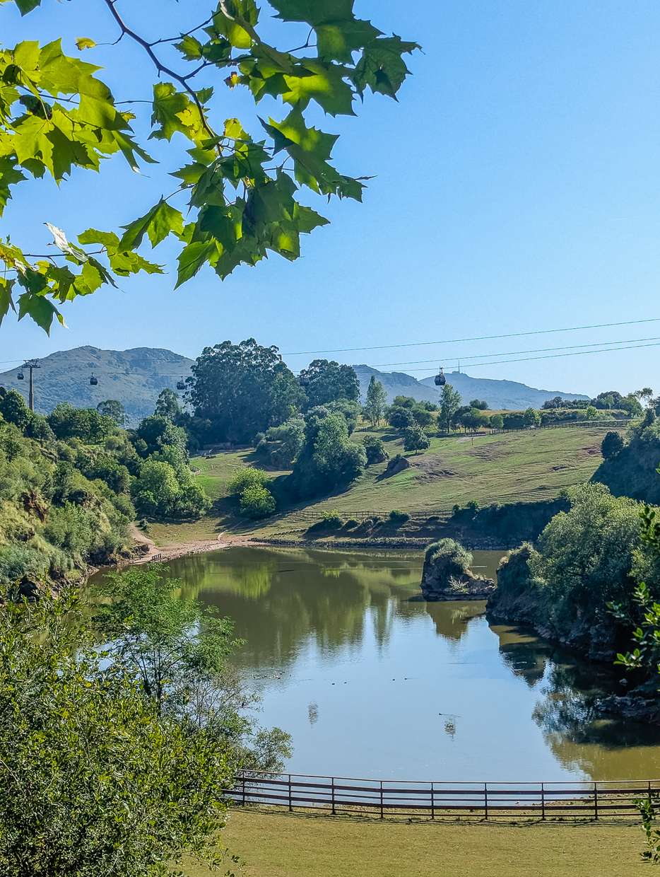 Parque de Naturaleza Cabárceno Spanje 