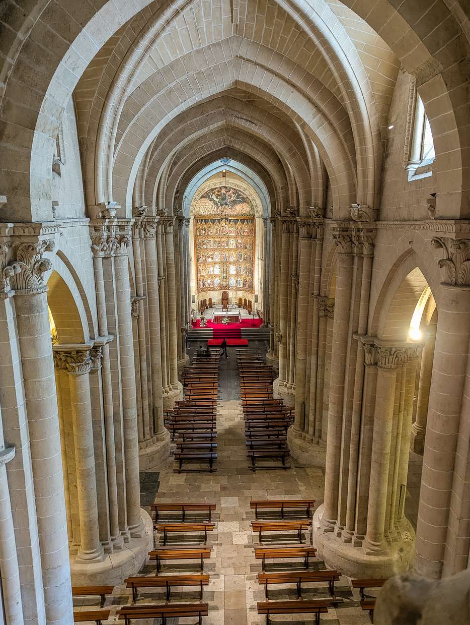 Binnen kathedraal Salamanaca