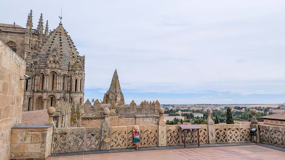 Dak van kathedraal Salamanca