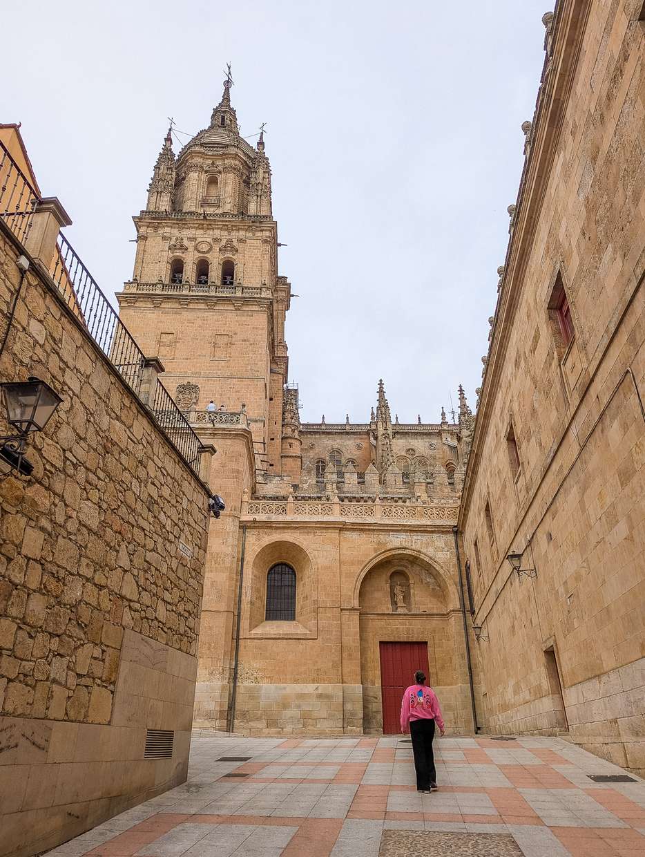 Doen in Salamanca: Kathedraal bewonderen
