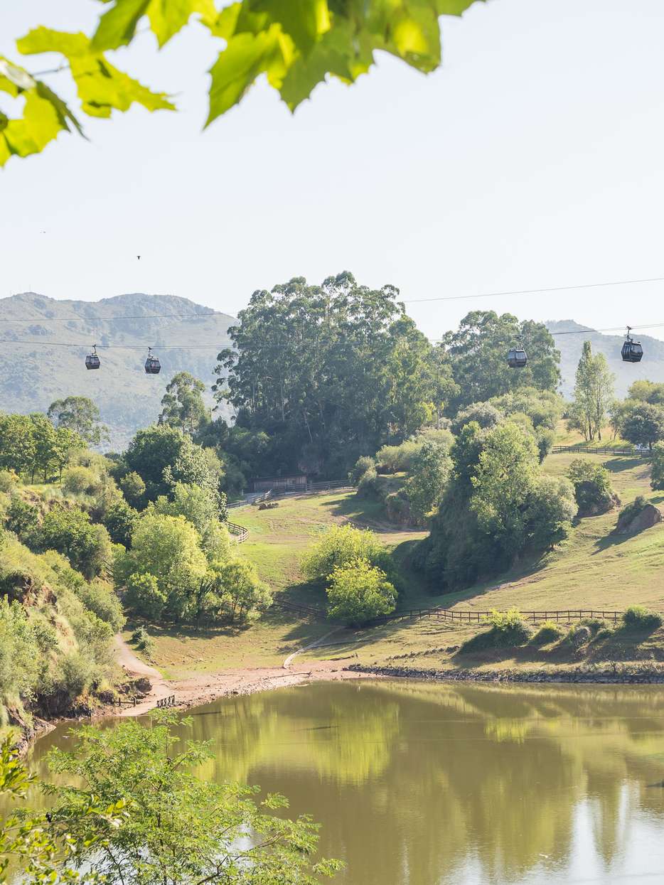 Parque de la Naturaleza de Cabárceno