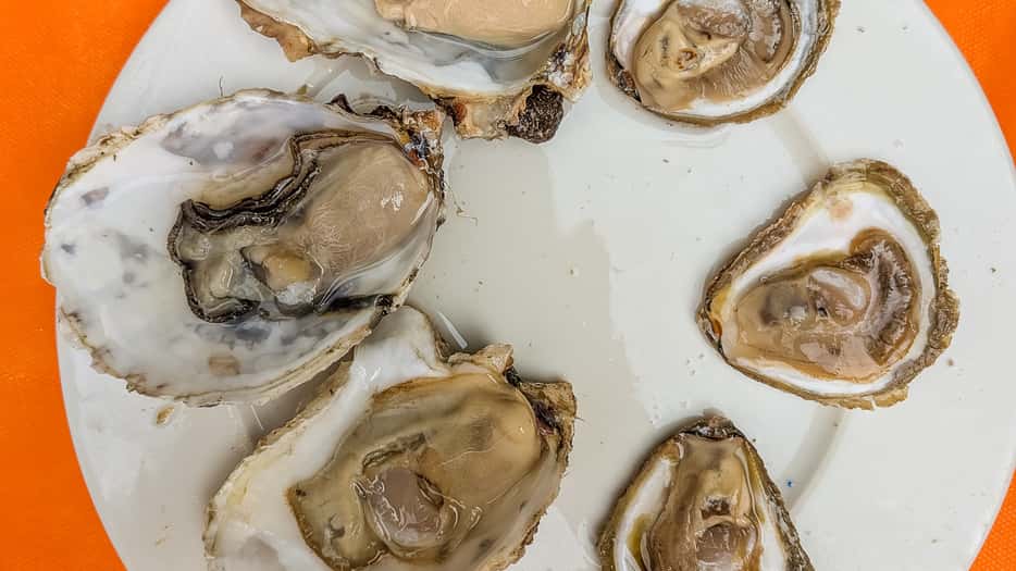 Oesters eten in Vigo in Galicië