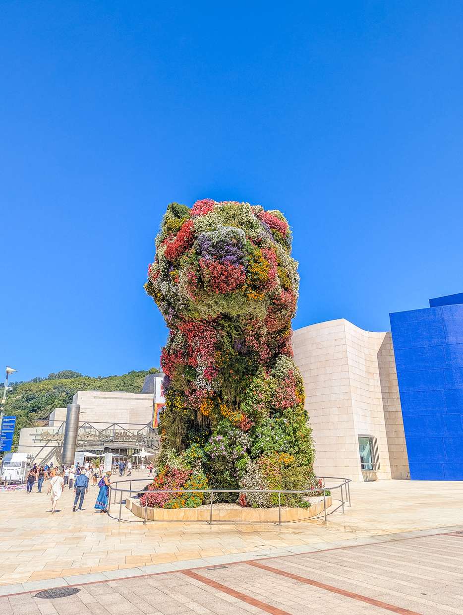 Puppy van Bilbao