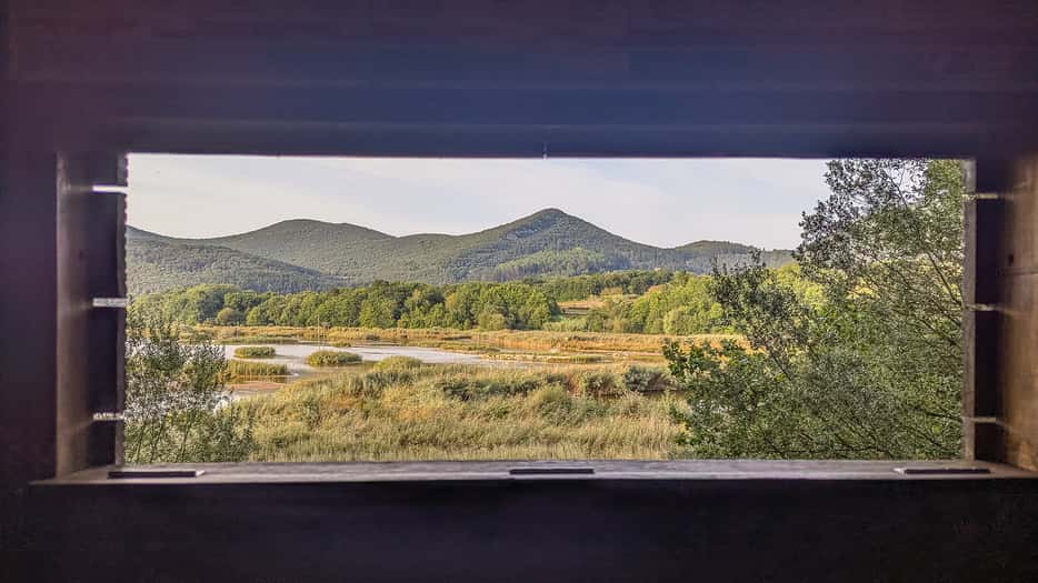 Urdaibai Biosphere Reserve