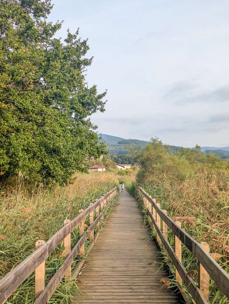 Urdaibai